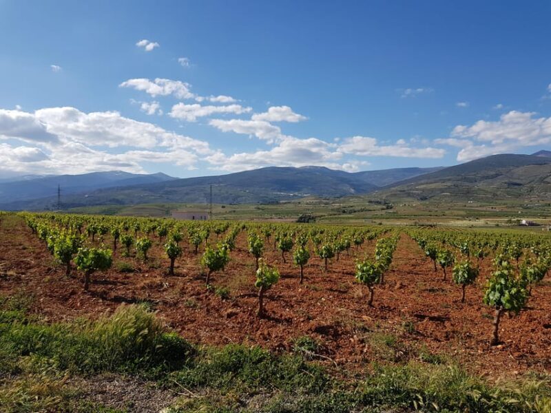 Alpujarra of Almería: Organic Wine tour and local aperitif - FAQ