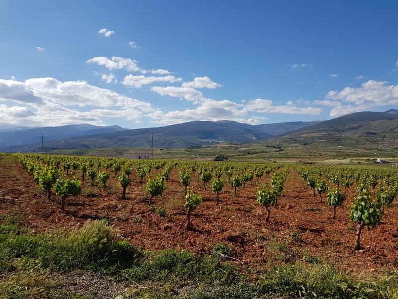 Alpujarra of Almería: Organic Wine tour and vegan aperitif - The Practical Details