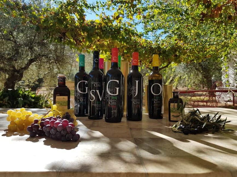 Alpujarra of Almería: Organic Wine tour and vegan aperitif - Frequently Asked Questions