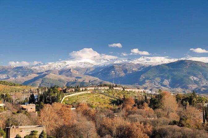 Alpujarras Day Trip Private or Small Tour - Exploring the Alpujarras: A Detailed Look at the Private Day Trip from Granada