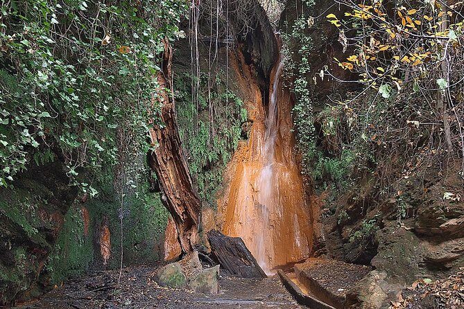 Alpujarras Day Trip Private or Small Tour - Authentic Experiences and What People Love