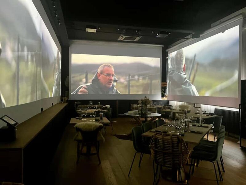 Alsace: Alsatian Wine Tasting Tour and Alsatian Lunch - A Deep Dive into the Experience