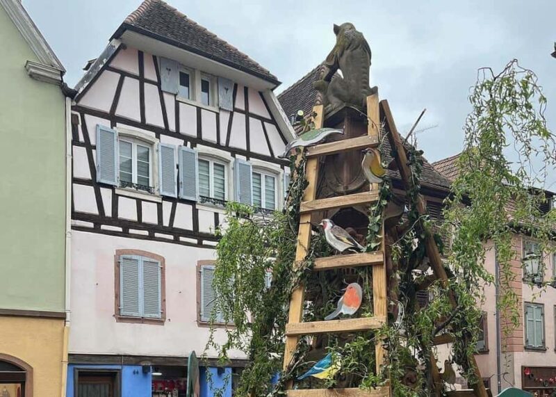 Alsace France and Black Forest Germany Private Car Tour - A Deep Dive Into the Experience