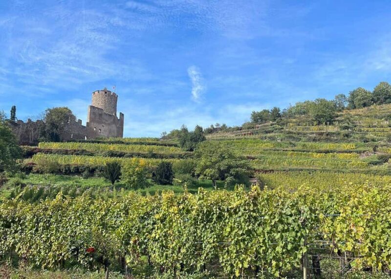 Alsace France and Black Forest Germany Private Car Tour - Final Thoughts