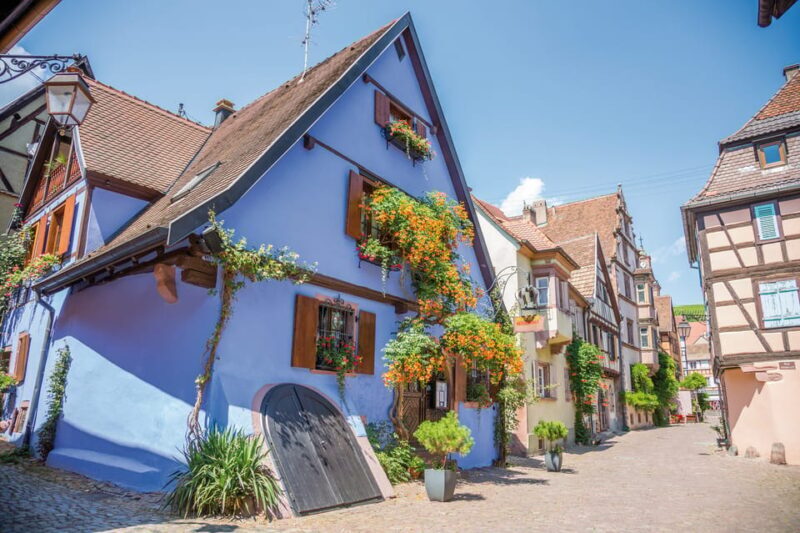 Alsace: Full-Day Wine Tour & Tastings from Strasbourg - FAQ