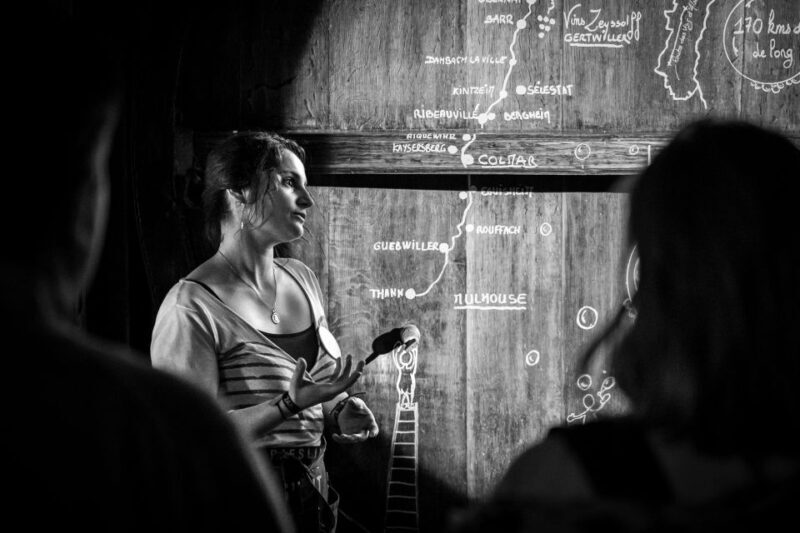 Alsace: Guided Wine Tasting and Cellar Visit - Group Size and Accessibility