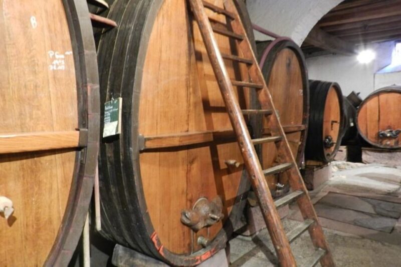 Alsace: Half-Day Wine Tour from Colmar - Is This Tour Worth the Price?