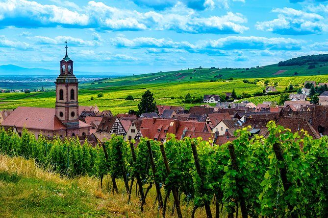 Alsace Half Day Wine Tour from Colmar - What to Expect from the Tour: An In-Depth Look