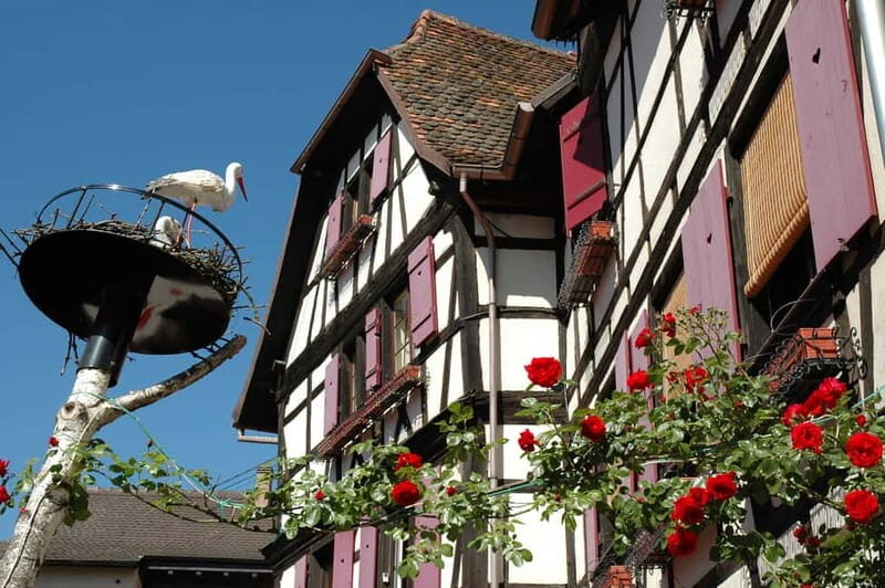 Alsace Half-Day Wine Tour from Strasbourg - Exploring the Alsace Half-Day Wine Tour from Strasbourg: A Friendly Guide