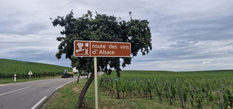 Alsace: The Legendary Wine Road Tour with Tasting and Lunch - Final Thoughts