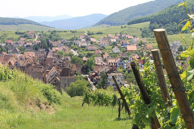 Alsace Wine Route Small Group Half-Day Tour with Tasting from Strasbourg - FAQs