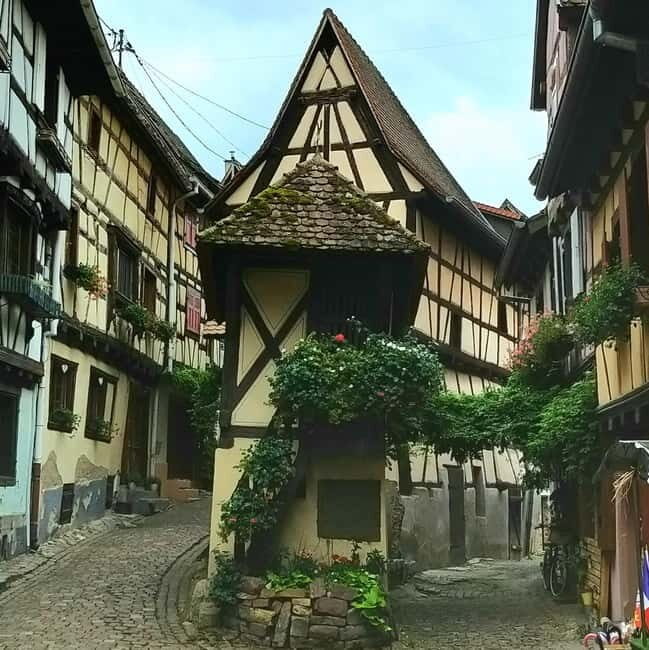 Alsace wine tour & medieval villages small group guided tour - Who Is This Tour Best Suited For?