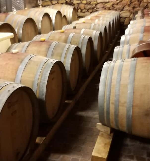 Alsace wine tour & medieval villages small group guided tour - FAQs