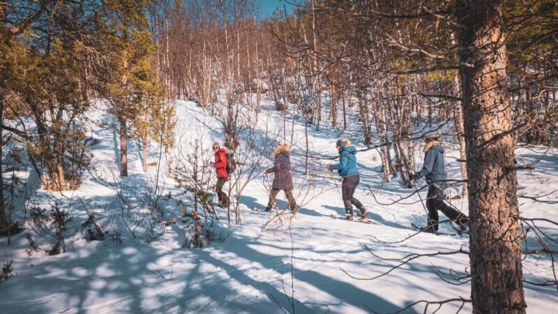 Alta: Easy Guided Snowshoe Hike with Bonfire - What to Expect During the Tour