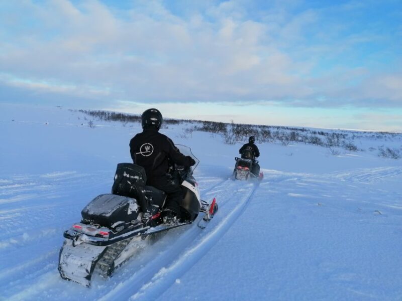 Alta: Guided Snowmobile Safari on Finnmarksvidda With Snacks - Key Points