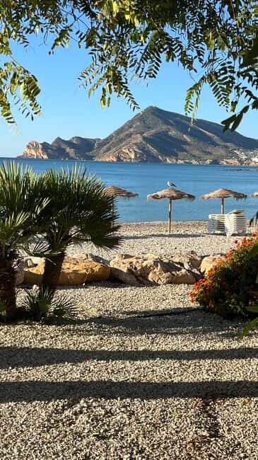 Altea: private Land Rover Tour with driver for Sightseeing - Who Should Consider This Tour?