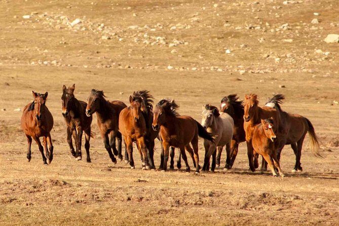 Altinbesik Cave Tour Ormana and Villages - Final Thoughts