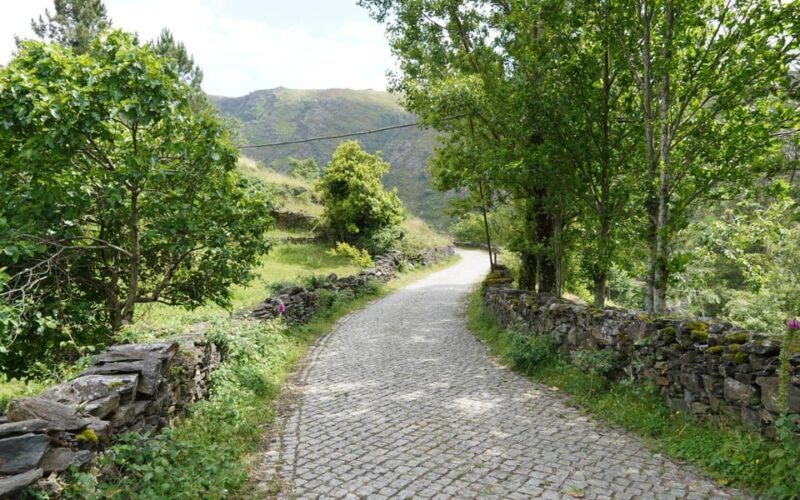 ALVÃO SHEPHERD'S HIKE - Final Thoughts