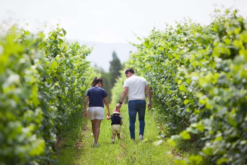 Alvarinho com Alma - Who Should Consider This Tour?