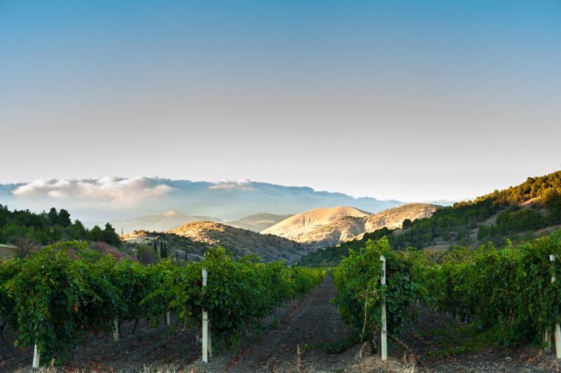 Amador County Wine Tasting Digital Passport - What Are the Benefits?