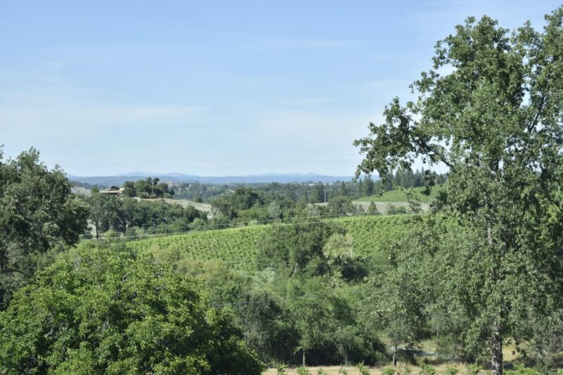 Amador County Wine Tasting Tour Private Tour 1 To 14 Group - Price and Value: Is It Worth It?