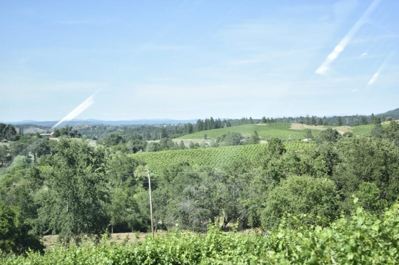 Amador County Wine Tasting Tour Private Tour 1 To 14 Group - Scenery and Views: The Hidden Bonus