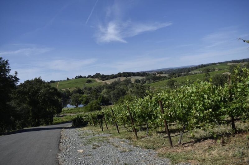 Amador County Wine Tasting Tour Private Tour 1 To 14 Group - Final Thoughts: Who Should Book This Tour?
