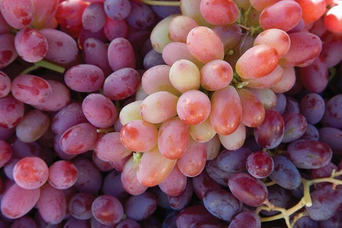 Amador County Wine Tasting Tours max 14 pax Private Wine Tours - How about the costs and extras?