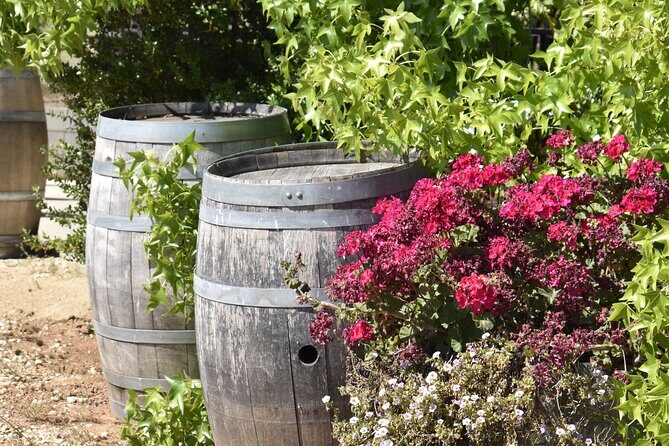 Amador County Wine Tasting Tours max 14 pax Private Wine Tours - The Sum Up