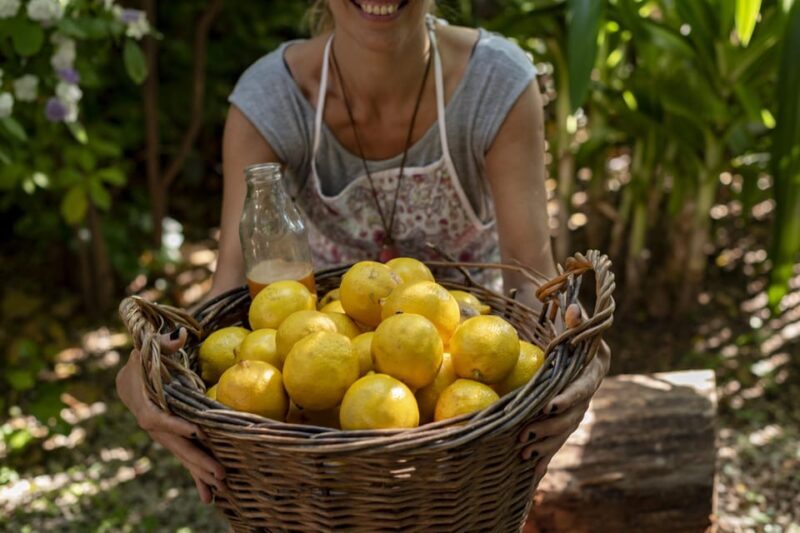 Amalfi coast from Pompeii by bus - Who Would Enjoy This Tour