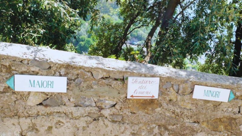 Amalfi Coast: Hike Along the Path of the Lemons - What to Expect on the Path of the Lemons Tour