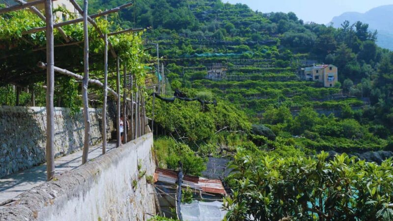 Amalfi Coast: Hike Along the Path of the Lemons - The Sum Up