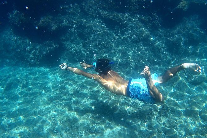 Amalfi Coast Kayak Tours from Marina del Cantone - Key Points