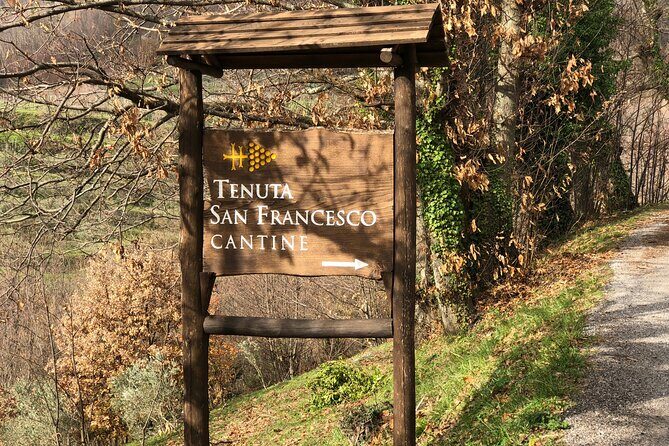 Amalfi coast private tour with Amalfi Ravello and Wine Tour from Positano - Ravello: Panoramic Gardens and Artistic Vibes