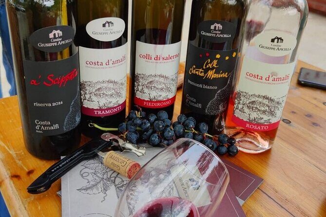 Amalfi Coast vintage tour with cheese and wine tastings - The Experience in Detail