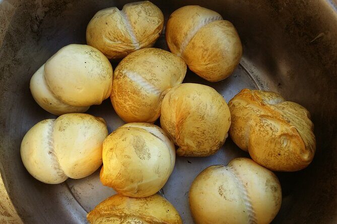 Amalfi Coast vintage tour with cheese and wine tastings - Second Stop: Cantina Tagliafierro (Wine Tasting)