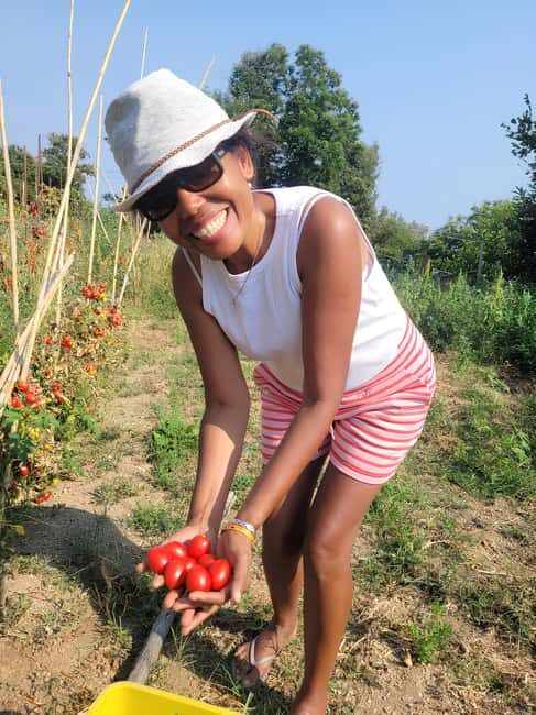 Amalfi: Grow your own vegetables and enjoy lunch with wine - Key Points