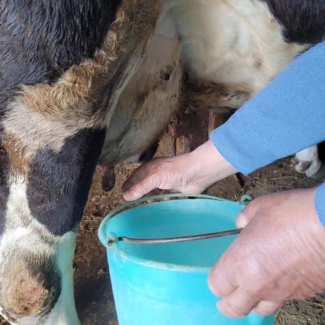 Amalfi: Learn how to make pasta, mozzarella and tiramisù! - FAQs