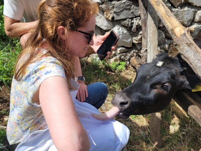 Amalfi: Make tagliatelle, mozzarella and tiramisù - A Closer Look at the Experience