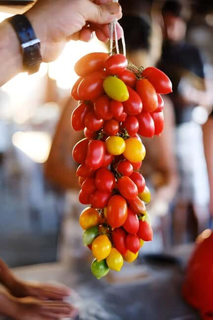 Amalfi: Milk the cows, Make Pasta, Mozzarella and Tiramisù! - Practical Details