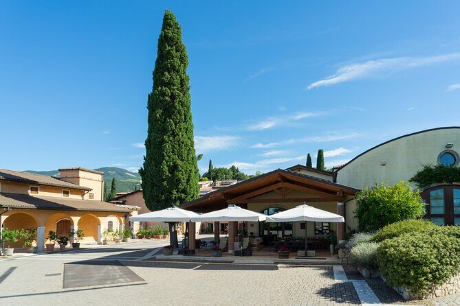 Amarone 2005 Wine Experience - A Closer Look at the Amarone 2005 Wine Experience