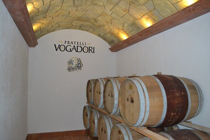 Amarone Della Valpolicella Wine Experience - Meet the Vogadori Family - The Wines and Tasting Experience
