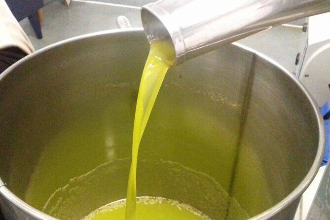 Amarone Della Valpolicella Wine Experience - Meet the Vogadori Family - Practicalities and Tips