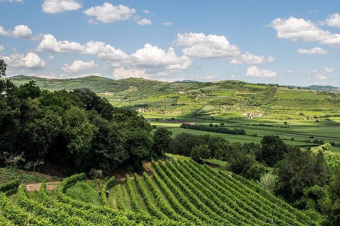 Amarone-Valpolicella private tour. Visit Verona. From Venice - What the Tour Offers in Detail