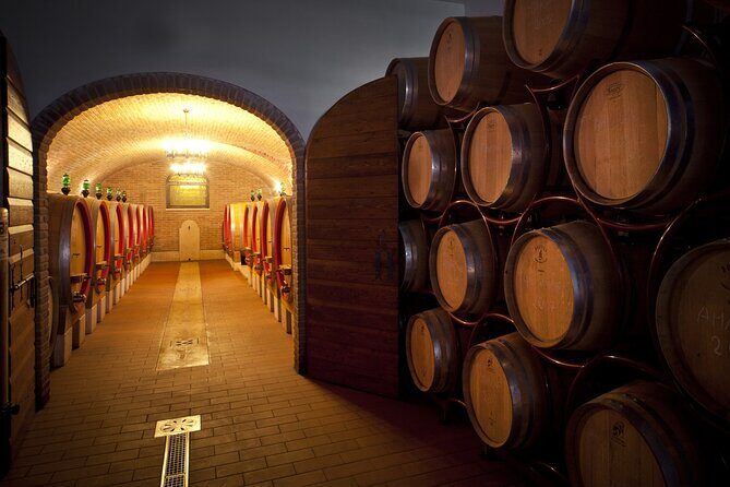 Amarone-Valpolicella private tour. Visit Verona. From Venice - What Travelers Are Saying