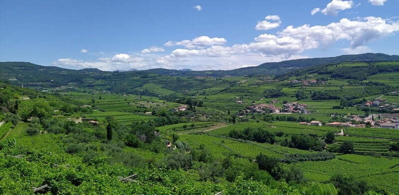 Amarone vertical tasting: A unique experience tasting different vintages of Amarone - What is the Experience Like?