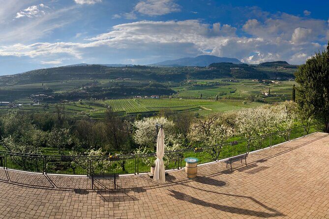 Amarone Wine Tasting from Verona - The Journey to Gamba Winery: What You Can Expect