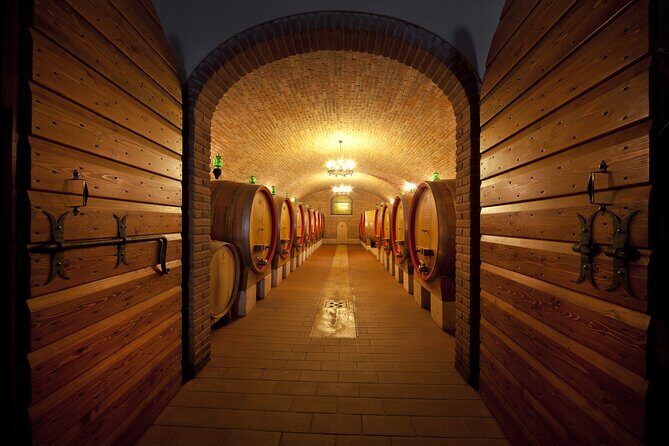 Amarone Wine Tasting from Verona - The Experience’s Strengths and Limitations