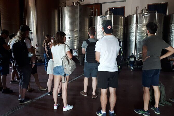 Amarone Wine Tour - Who Should Consider This Tour?