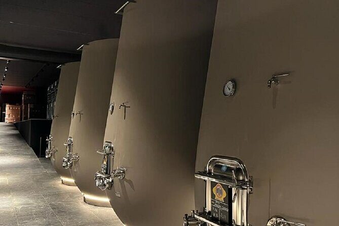 Amarone Wine Tour with 2 Wineries Lunch and Private Transfer - Key Points